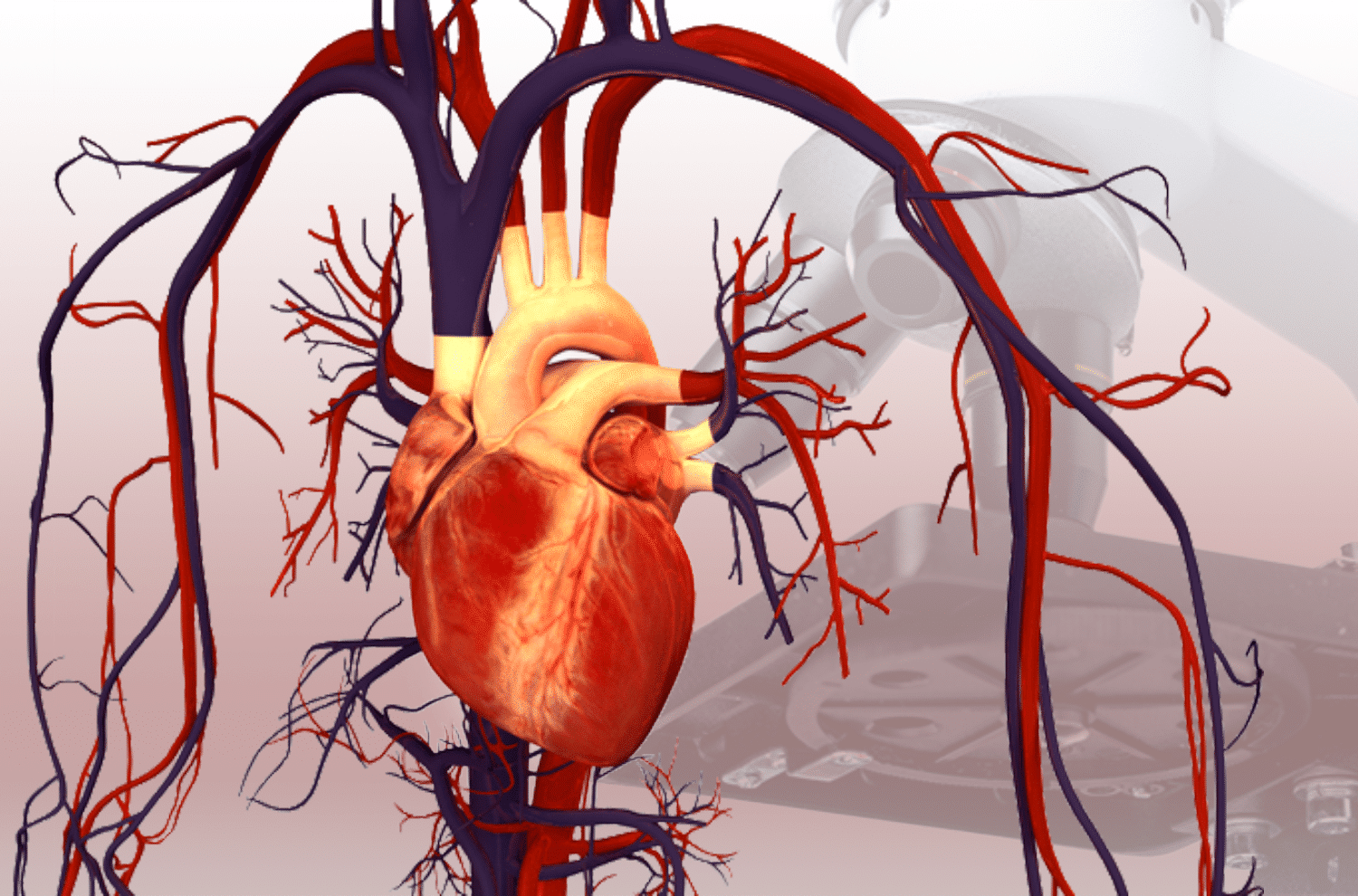 9 tipp a szívbetegség elkerüléséhez